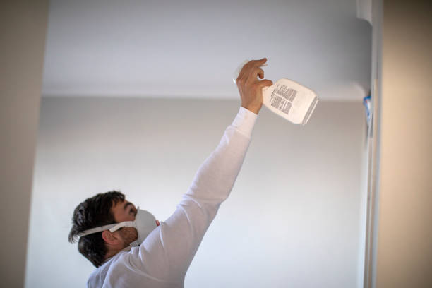 Best Local Mold Removal Service  in Sycamore, IL